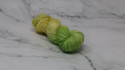 Sprouting Seeds - Variegated - DK Merino