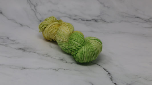 Sprouting Seeds - Variegated - DK Merino