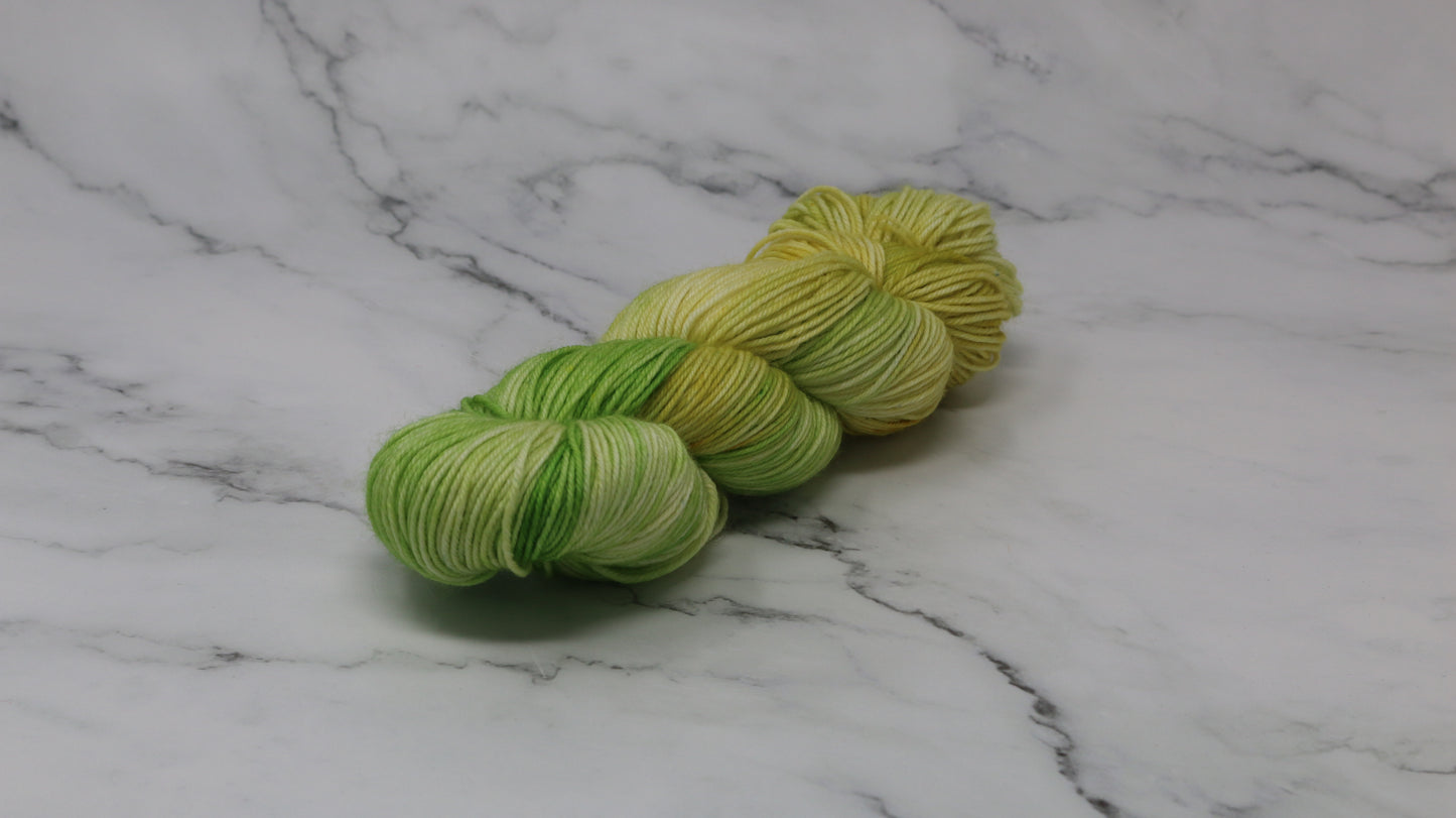 Sprouting Seeds - Variegated - DK Merino
