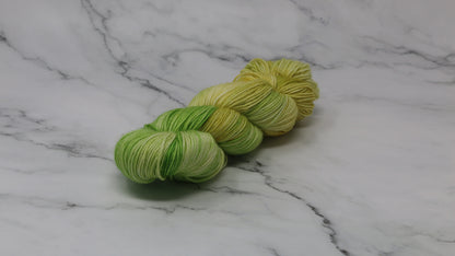 Sprouting Seeds - Variegated - DK Merino
