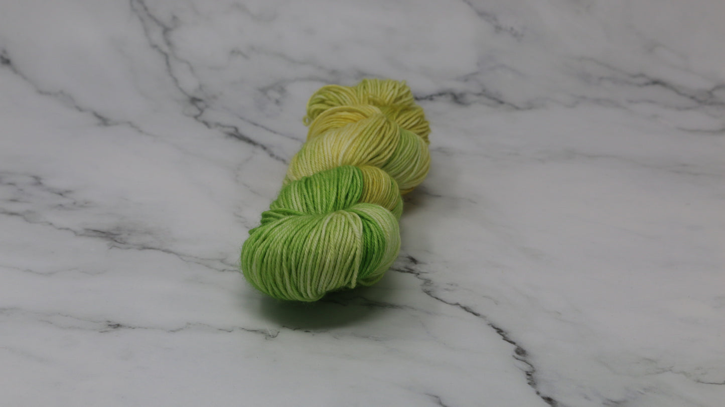 Sprouting Seeds - Variegated - DK Merino