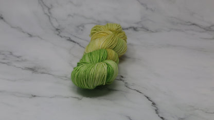 Sprouting Seeds - Variegated - DK Merino