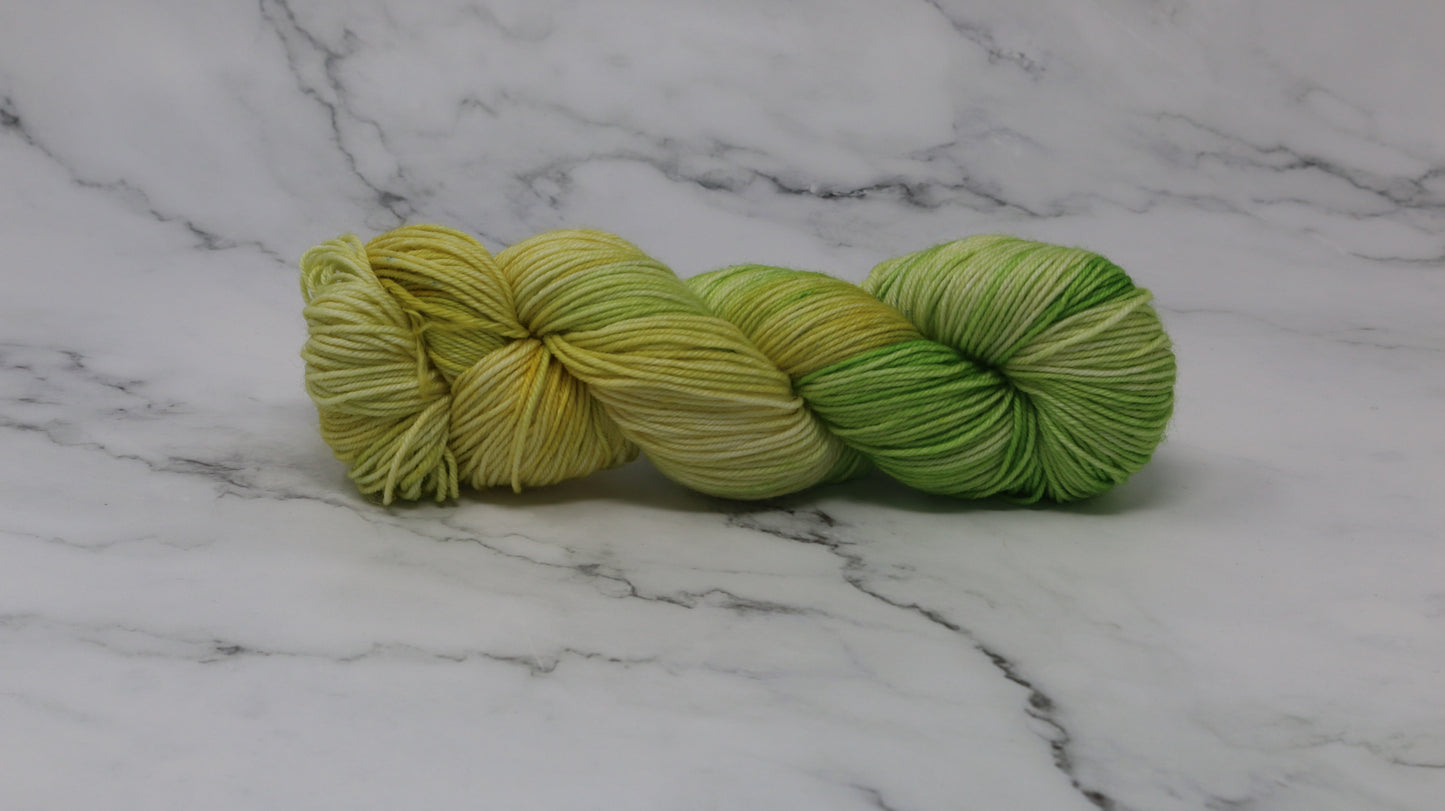 Sprouting Seeds - Variegated - DK Merino