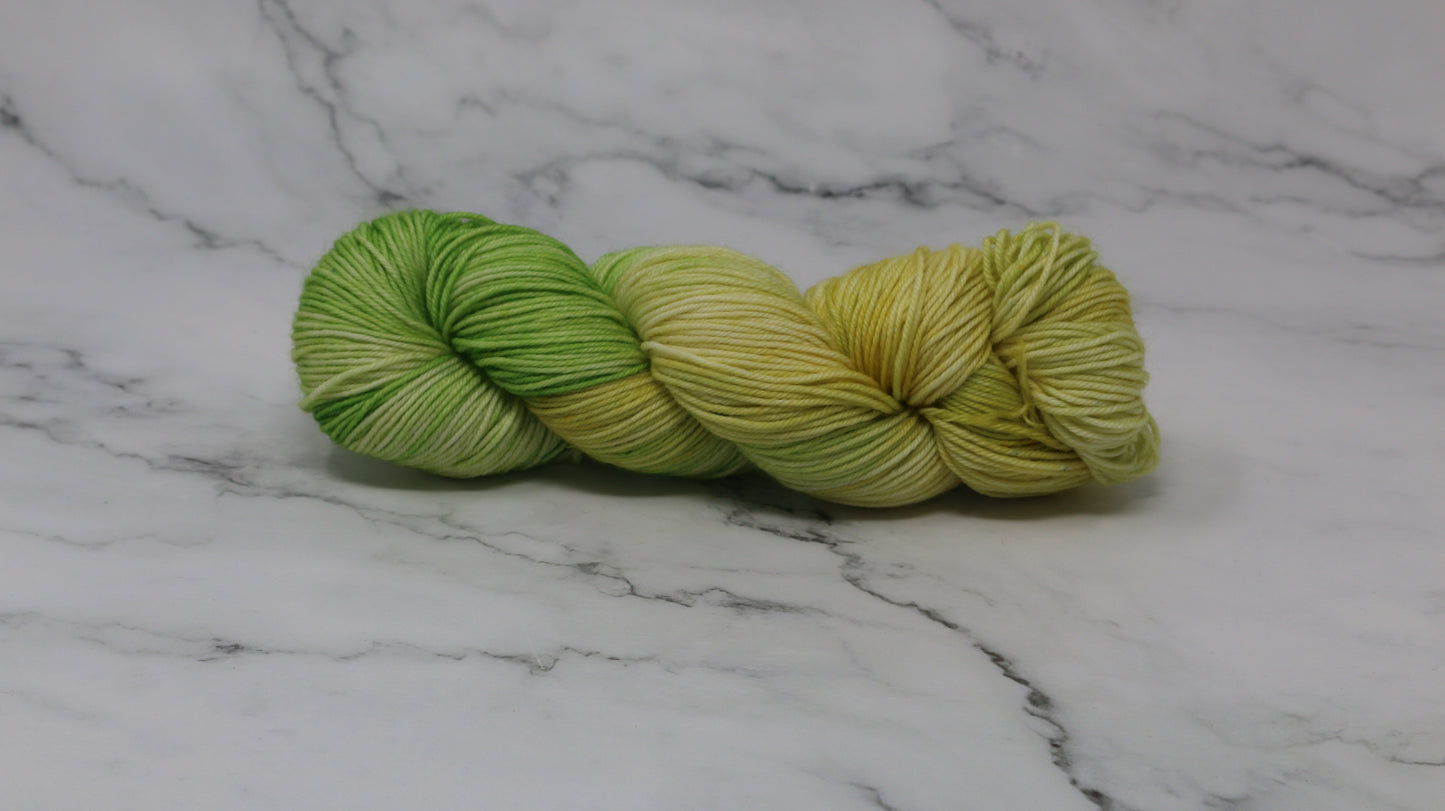 Sprouting Seeds - Variegated - DK Merino