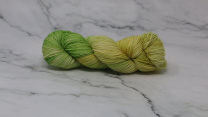 Sprouting Seeds - Variegated - DK Merino