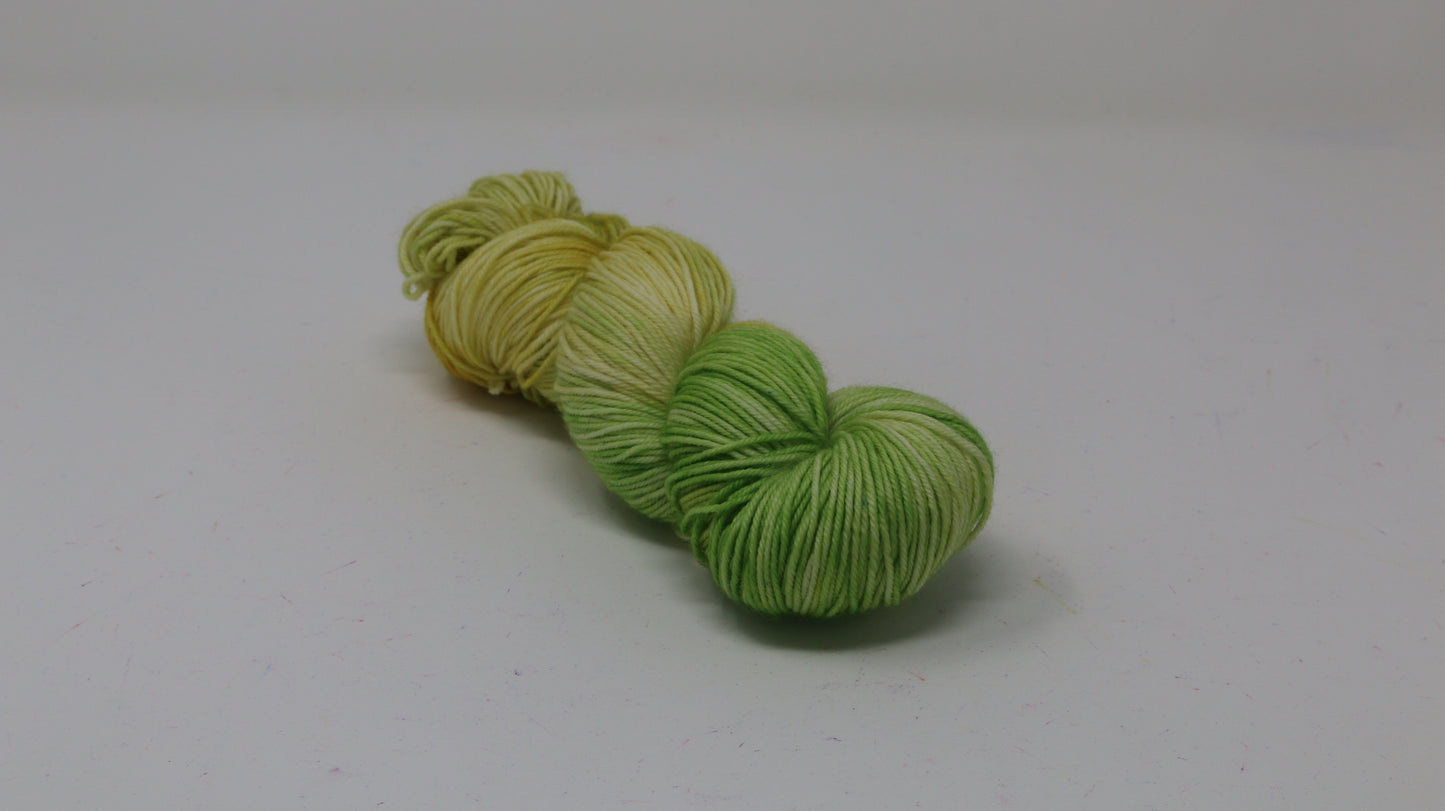 Sprouting Seeds - Variegated - DK Merino