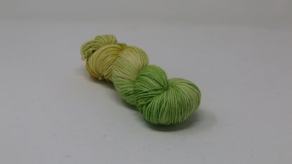 Sprouting Seeds - Variegated - DK Merino