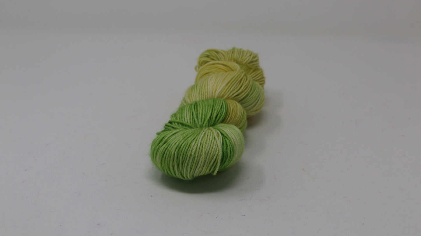 Sprouting Seeds - Variegated - DK Merino