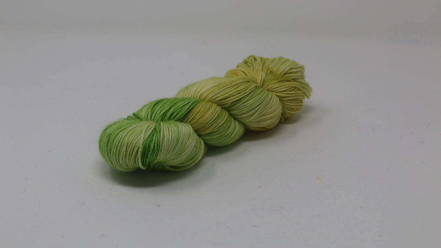 Sprouting Seeds - Variegated - DK Merino