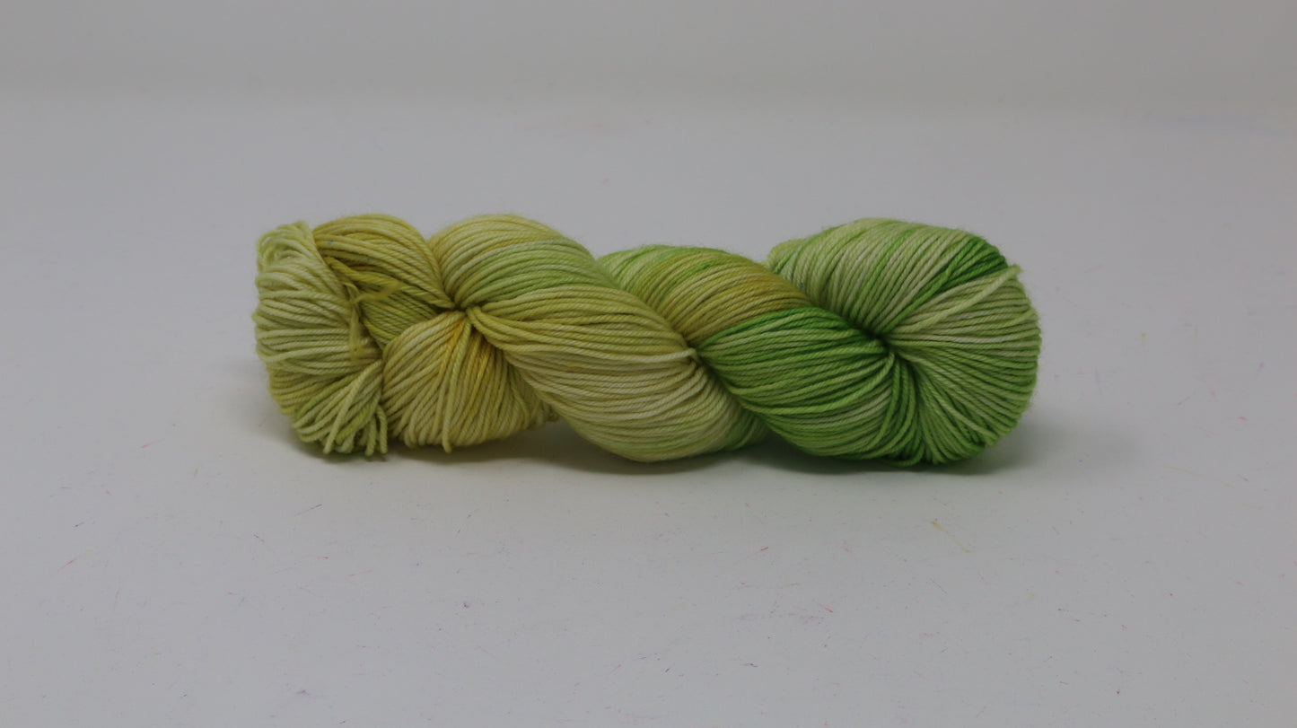 Sprouting Seeds - Variegated - DK Merino