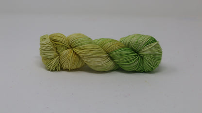 Sprouting Seeds - Variegated - DK Merino