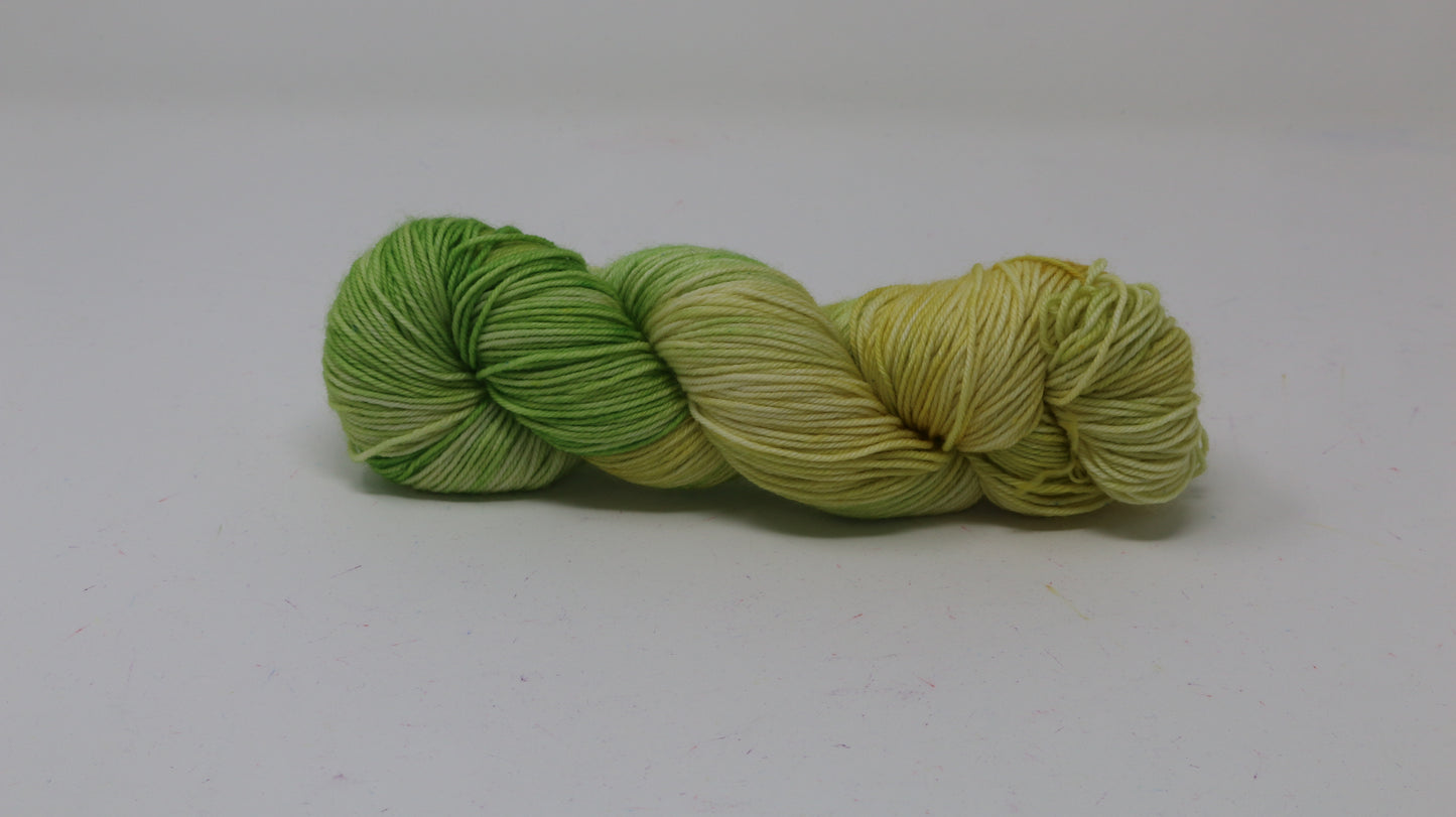 Sprouting Seeds - Variegated - DK Merino