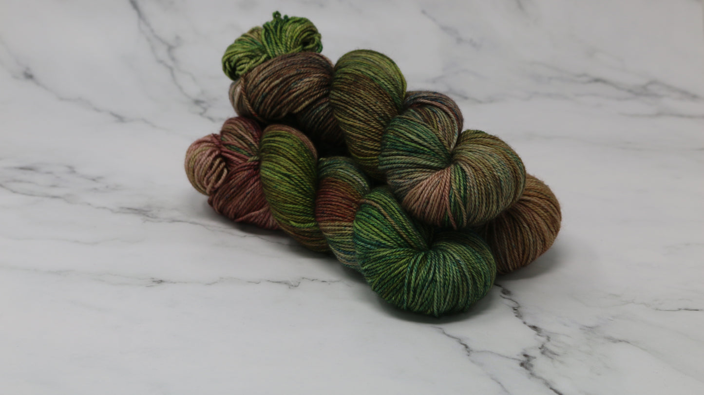 Somber Garden - Variegated - MCN DK