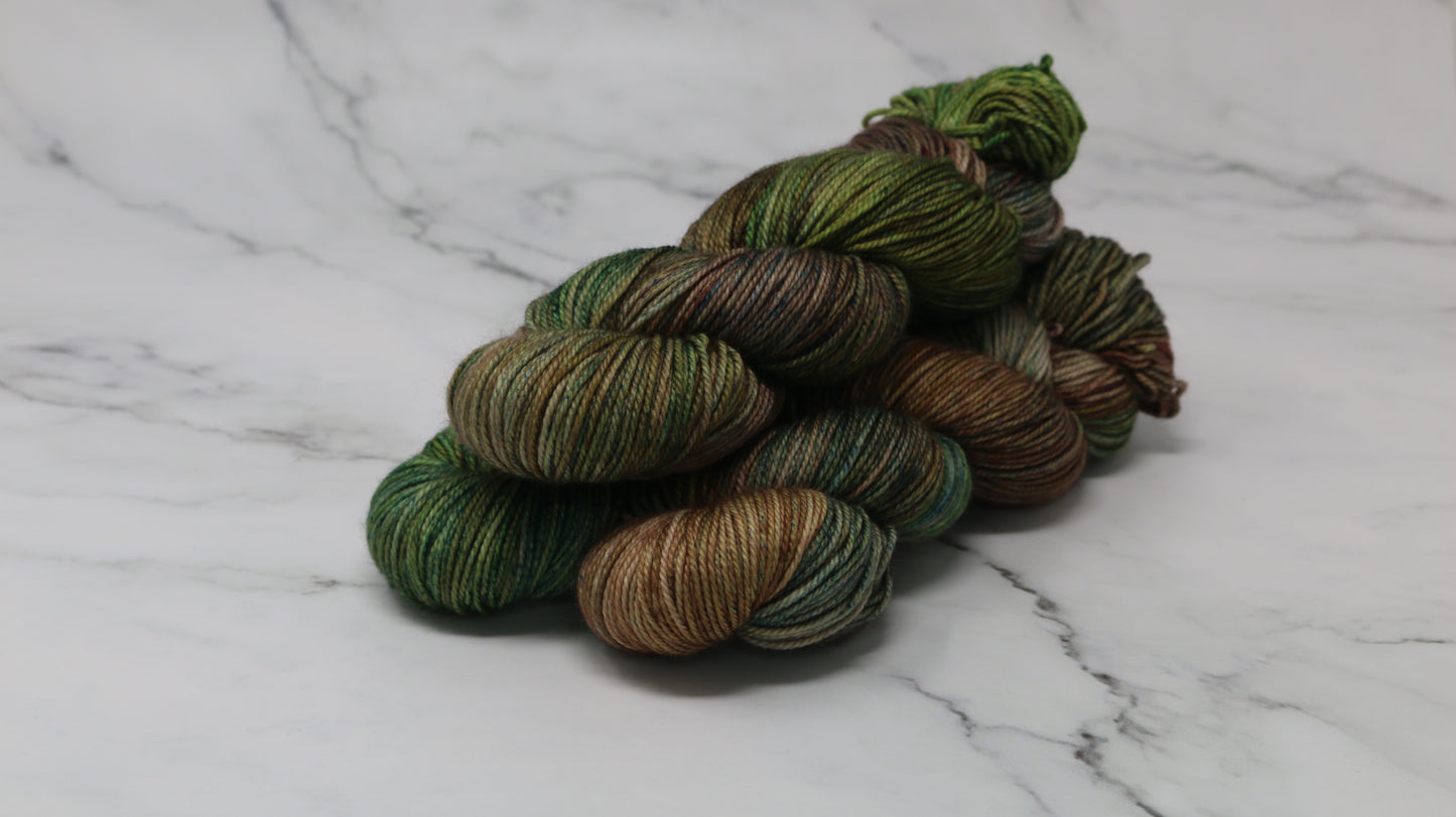 Somber Garden - Variegated - MCN DK