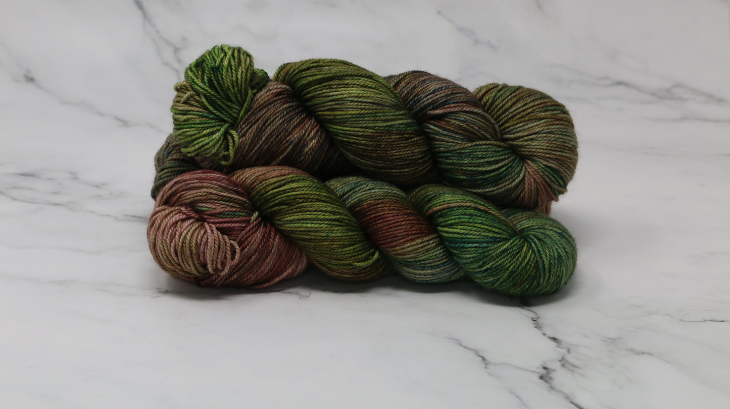 Somber Garden - Variegated - MCN DK
