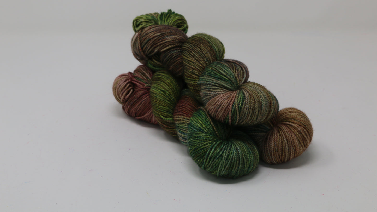 Somber Garden - Variegated - MCN DK