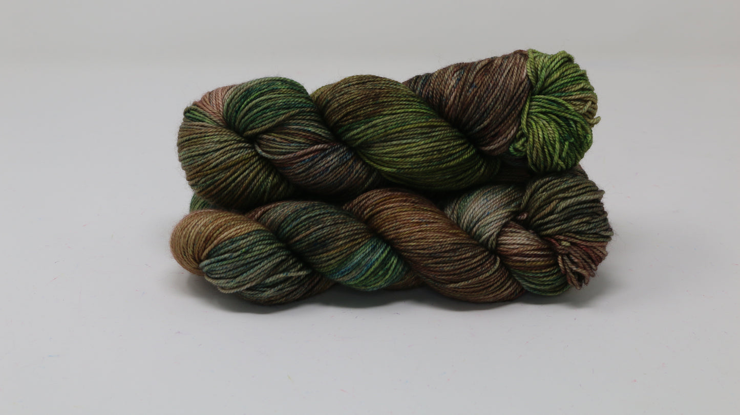 Somber Garden - Variegated - MCN DK