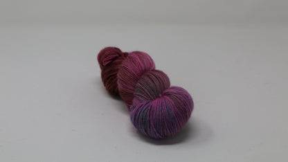 Wilted Carnation - Variegated - BFL Sock