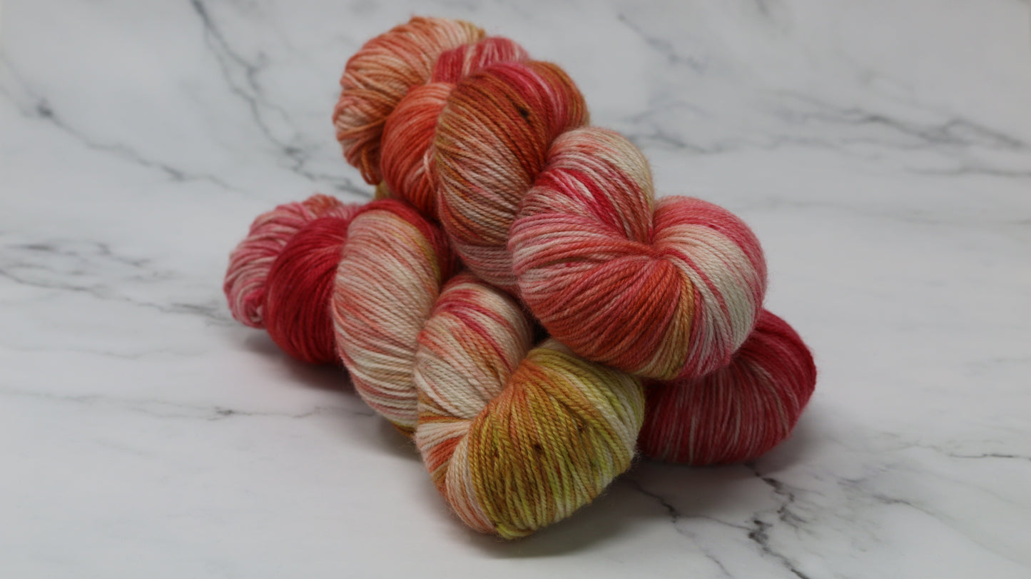 By The Book - Variegated - BFL Sock
