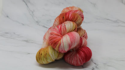 By The Book - Variegated - BFL Sock