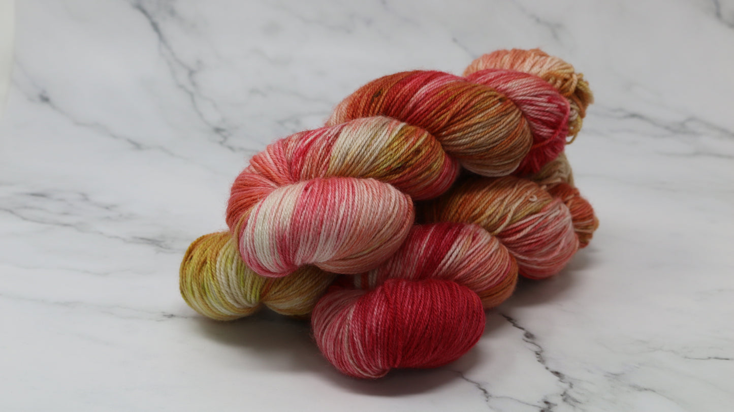 By The Book - Variegated - BFL Sock