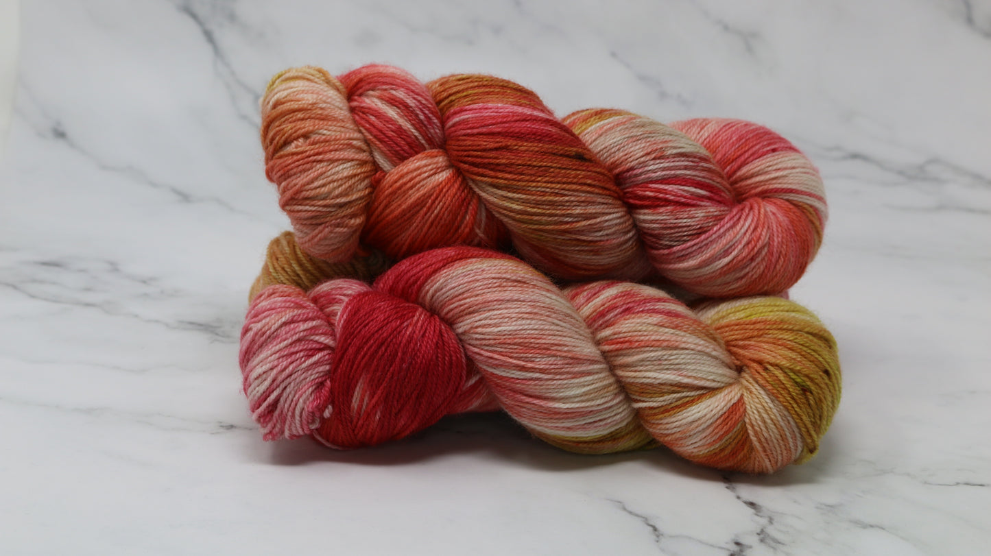 By The Book - Variegated - BFL Sock