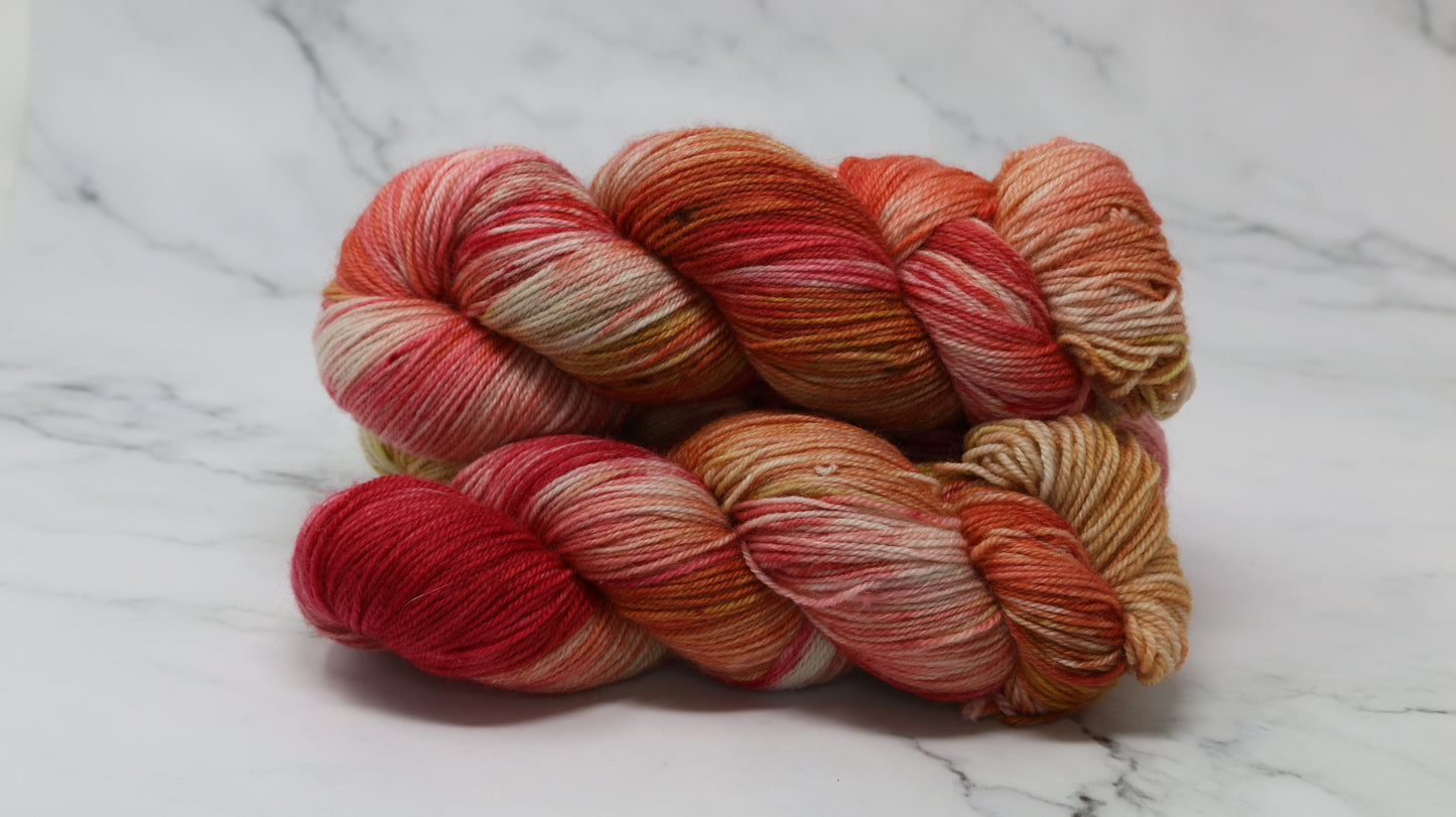 By The Book - Variegated - BFL Sock