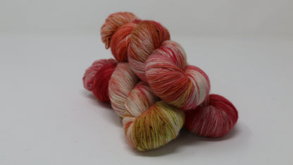 By The Book - Variegated - BFL Sock