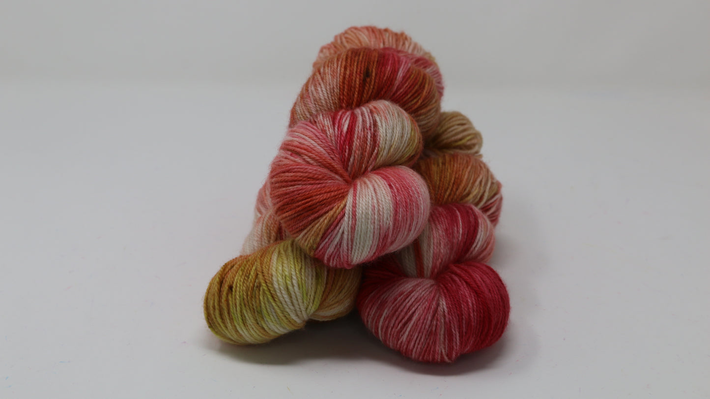 By The Book - Variegated - BFL Sock