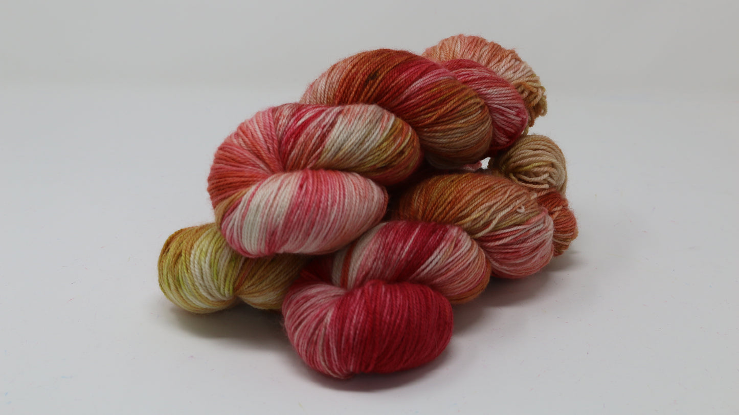 By The Book - Variegated - BFL Sock