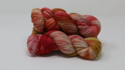 By The Book - Variegated - BFL Sock