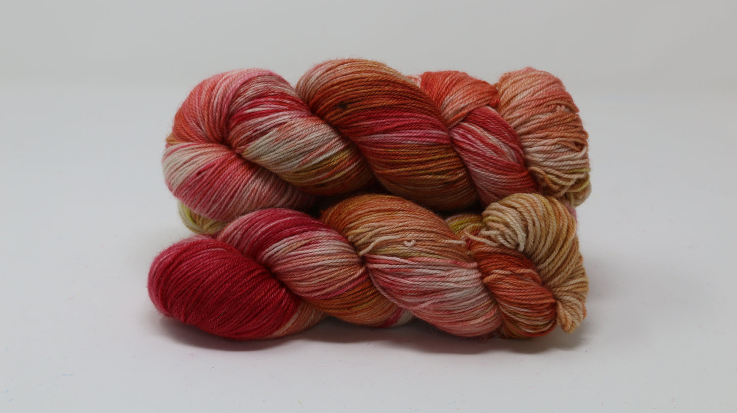 By The Book - Variegated - BFL Sock