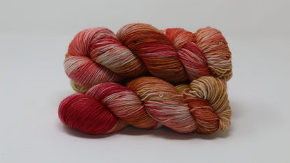 By The Book - Variegated - BFL Sock