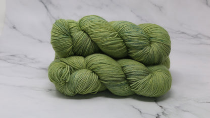 Swamp - Tonal - BFL Sock