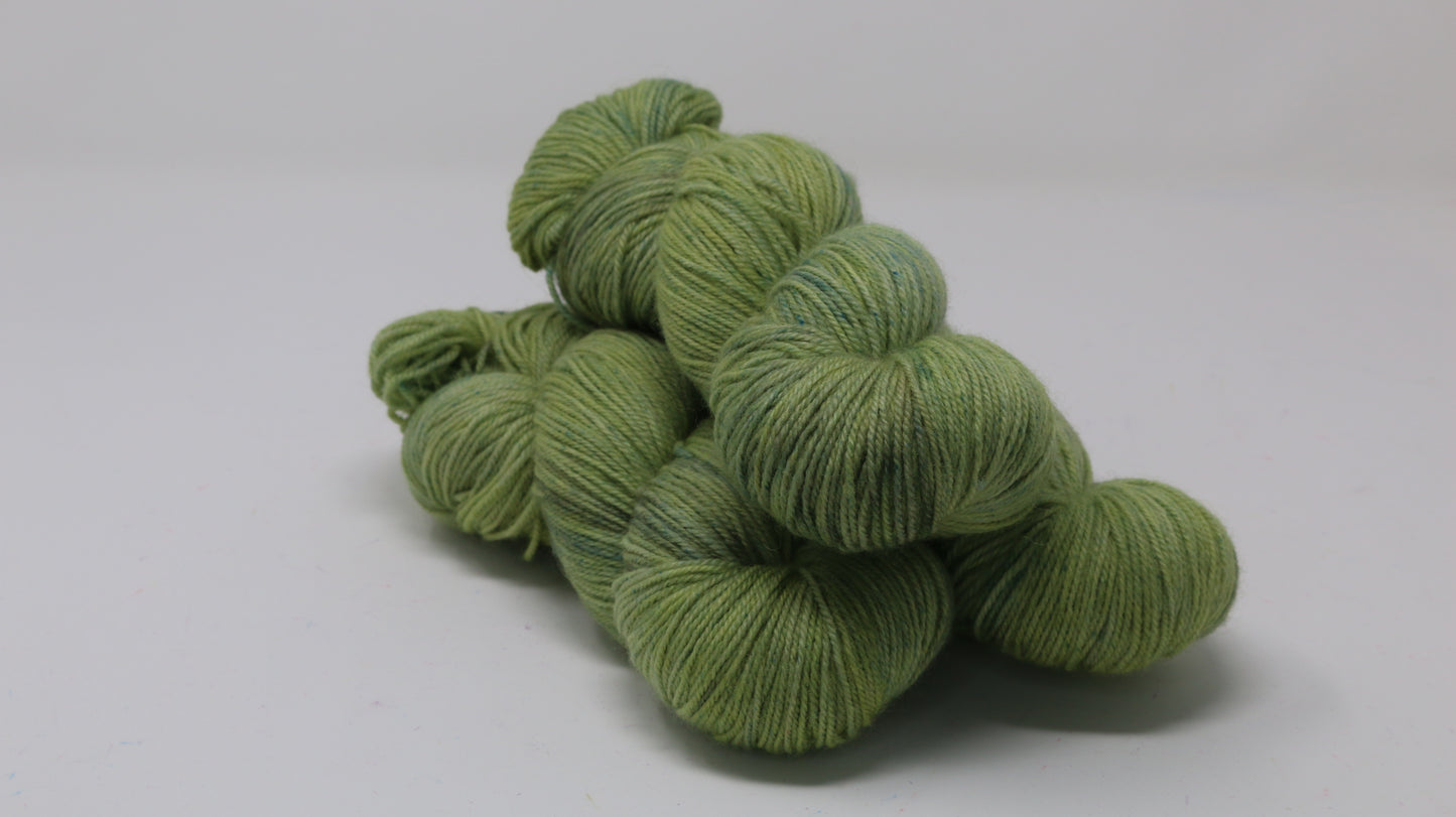 Swamp - Tonal - BFL Sock