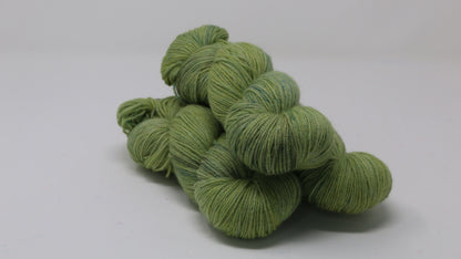 Swamp - Tonal - BFL Sock