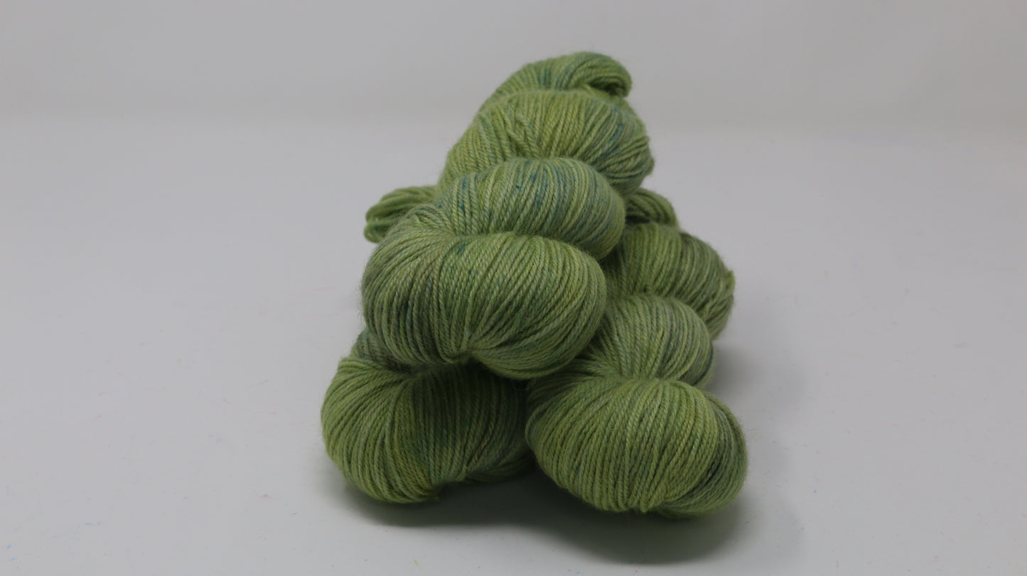 Swamp - Tonal - BFL Sock