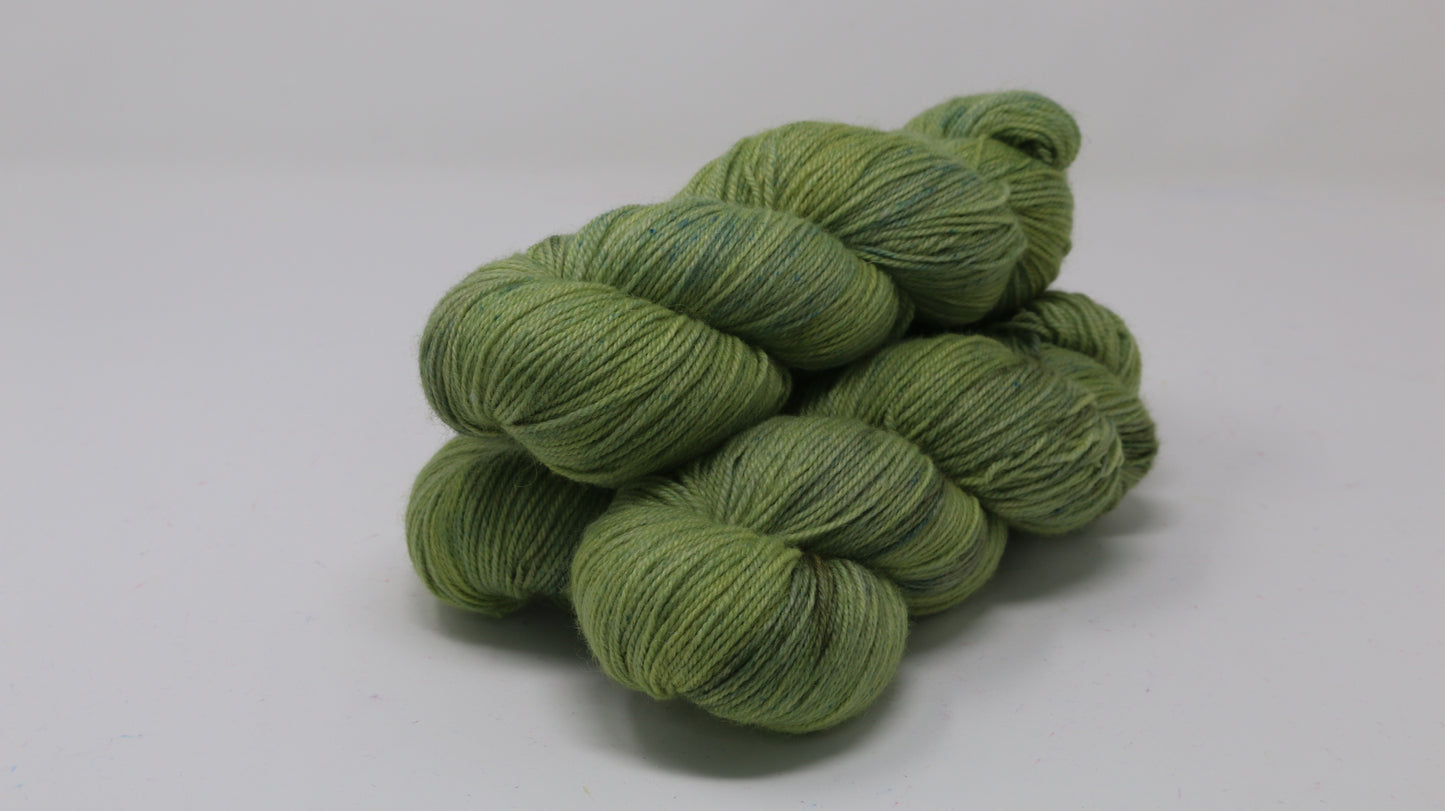Swamp - Tonal - BFL Sock