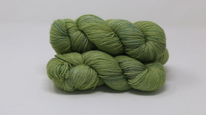 Swamp - Tonal - BFL Sock