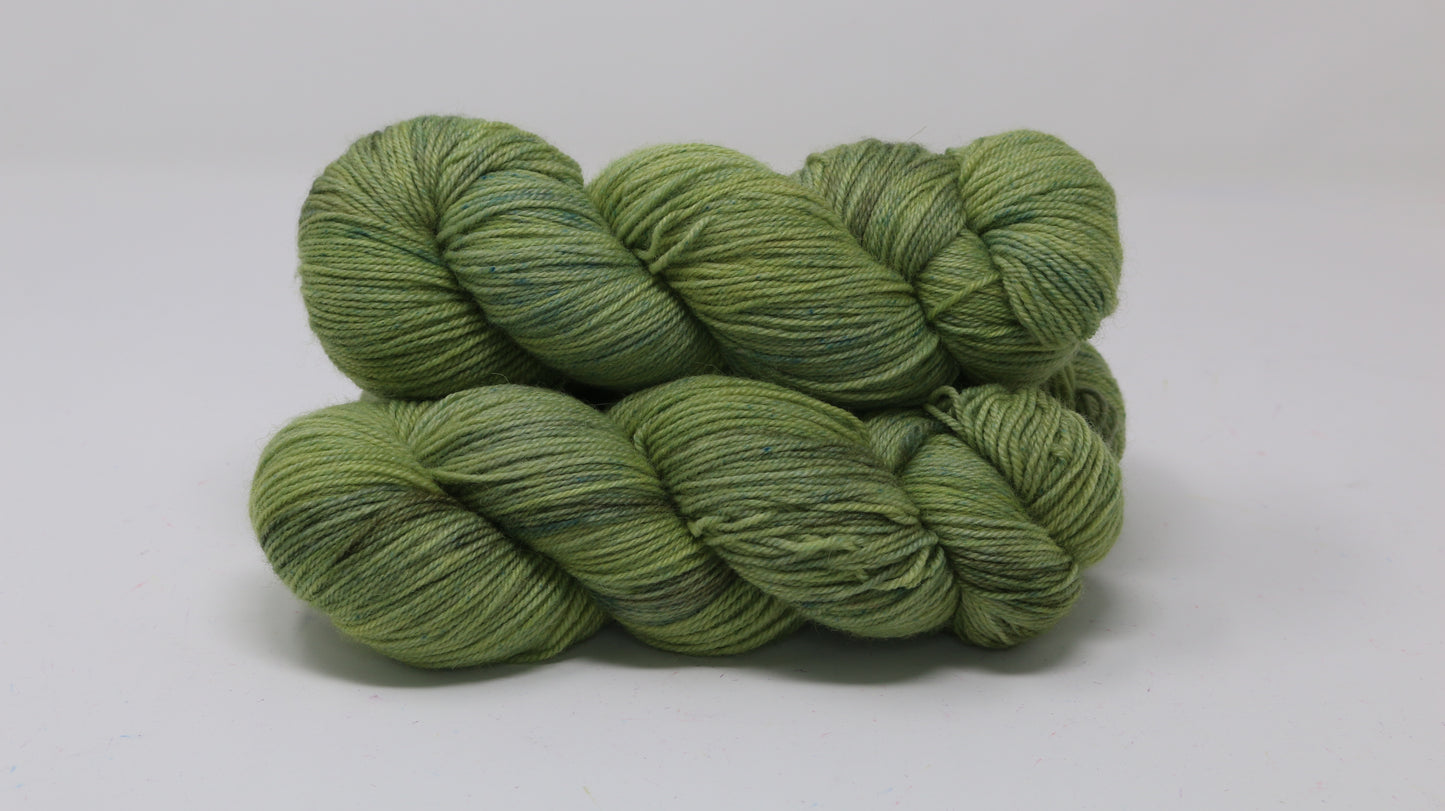 Swamp - Tonal - BFL Sock