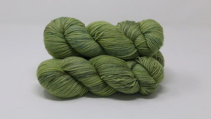 Swamp - Tonal - BFL Sock